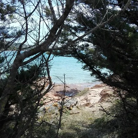 Domusdelmar Lejlighed