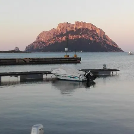 Lejlighed Domusdelmar