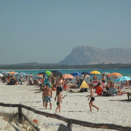 Domusdelmar *